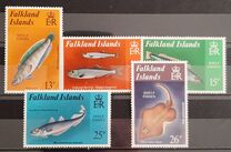 [Shelf Fish, tegund JE]