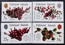 [Native Fruits, type KY]