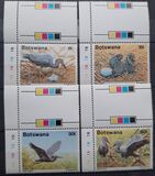 [Birds - Slaty Egret, Tipe QM]
