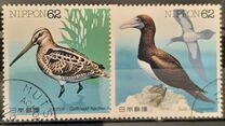[Water Birds - Latham's Snip & Brown Booby, type CHE]