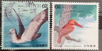 [Water Birds - White-faced shearwater & Ruddy kingfisher, 유형 CJS]