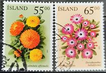 [Flowers, 类型 AAW]