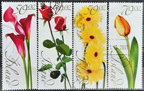 [Flowers, tip AFG]