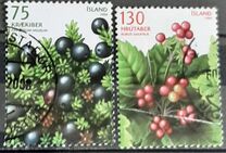 [Wild Berries, Tipi AHB]