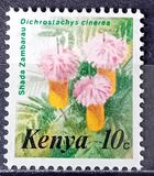 [Flowers, 类型 IF]