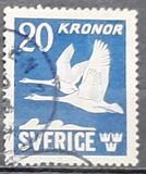 [Birds - Swans, jenis BW]