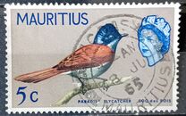 [Birds & Elizabeth II, тып CY]