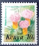 [Flowers, 类型 IF]