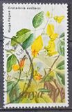 [Flowers, Вид IT]