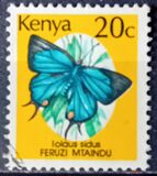 [Mariposas., tipo OY]
