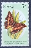 [Butterflies, type PJ]