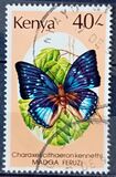 [Butterflies, type PN]