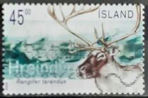 [Reindeer, タイプ ADP]