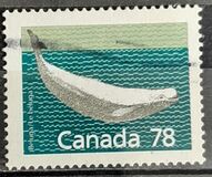 [Canadian Mammals, type AOK]