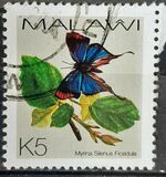 [Butterflies, Tipe XXI]