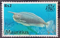 [Fish, 類型 AAU]
