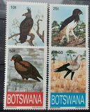 [Endangered Eagles, type UH]