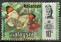 [Butterflies, Tipi AQ]