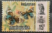 [Butterflies, Tipi AR]