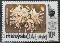 [Flowers, type AY]