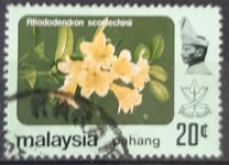 [Flowers, type BA]
