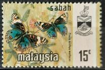 [Butterflies, type O]