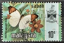 [Butterflies, type N]