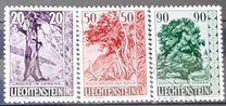 [Trees and Bushes, 유형 KV]