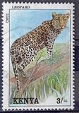 [Wild Animals, type UD]