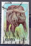 [Wild Animals, type UG]