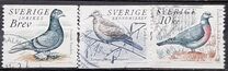 [Doves and Pigeons, type BTG]