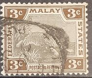 [Tiger, tip C1]