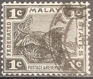 [Tiger - Different Watermark, type C40]