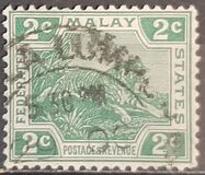 [Tiger - Different Watermark, type C42]