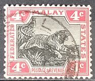 [Tiger - Different Watermark, प्रकार C12]
