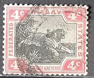 [Tiger - Different Watermark, प्रकार C12]