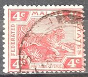[Tiger - Different Watermark, type C46]