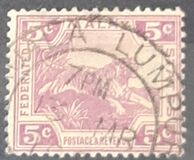 [Tiger - Different Watermark, type C49]