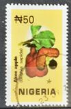 [Fruits, type YK]