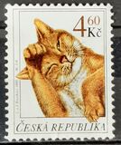 [Cats, 유형 GS]