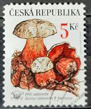 [Nature Conservation - Mushrooms, type IW]