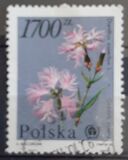 [Protected Plants and Flowers from the Botanical Gardens of Warsaw University, type DDR]