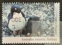 [Antarctic Wildlife, type CL]