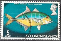 [Flora and Fauna, Tipi DX]