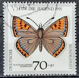 [Youth Hostel - Butterflies, Typ AWM]