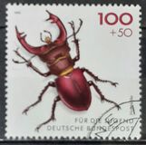 [Youth Hostel - Insects, type BCK]