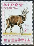 [Menelik´s Bushbuck, type AZF19]