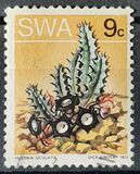 [Desert Plant, type DZ]