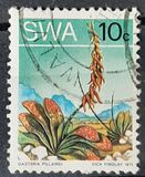 [Desert Plant, type EA]