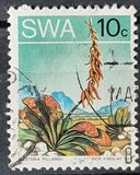 [Desert Plant, type EA]